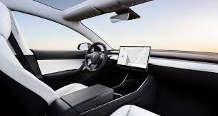 Those are the only two interior options currently available in the model 3 as tesla is still limiting. The 1 Thing I Love About Our Tesla Model 3 That No One Talks About