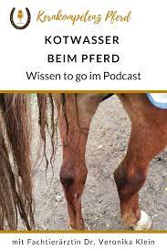 Pin Auf Ponybilder Und Infos