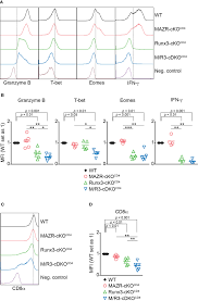 Parkeren, gratis parkeergelegenheid, parkeren bij accommodatie, privéparkeergelegenheid, wifi beschikbaar in. Frontiers Complex Interplay Between Mazr And Runx3 Regulates The Generation Of Cytotoxic T Lymphocyte And Memory T Cells Immunology