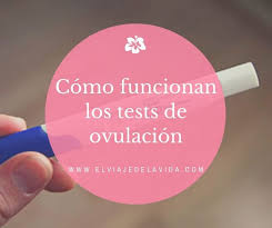 Test De Ovulacion Y Embarazo Como Quedarte Embarazada