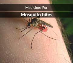 The best way to heal mosquito bites fast is to avoid scratching them. List Of 13 Best Medicines For Mosquito Bites Composition Dosage Popularity More