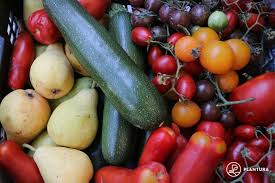 Start gemüse & kräuter welches gemüse kann ich im sommer säen? Gartenarbeit Im August Alles Auf Einen Blick Plantura