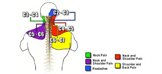 dr evan and seanna katz chiropractic care and digital