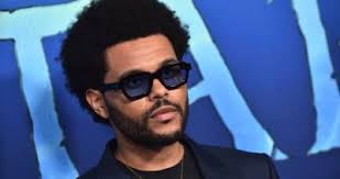 NPA members elect a former Rebel Media bureau chief and the B.C.  Conservatives president to party board