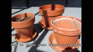 Home » gardening & outdoors » how to clean last year's garden pots. How To Clean Terra Cotta Pots Youtube