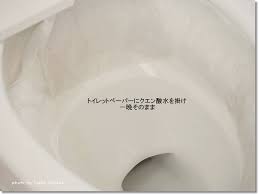 クエン酸と重曹で便器の輪ジミをスッキリ取る クエン酸 お掃除の裏技 重曹