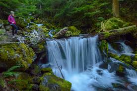On your way to the coast of oregon, you must take a pitstop at umpqua national forest for a bonus waterfall & hidden hot springs. 20 Best Oregon Waterfall Hikes Hike Oregon