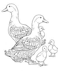 Cows, chickens, horses, ducks and more! Farm Animals Coloring Pages 100 Free Coloring Pages For Kids
