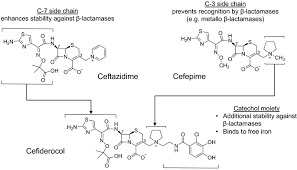 Image result for Cefiderocol