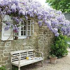 Avis A Tous Les Amateurs De The Bancos De Jardin Cabana De Jardin Patio Pergola