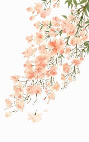 Check spelling or type a new query. Peach Flower Watercolor Background 600x960 Wallpaper Teahub Io