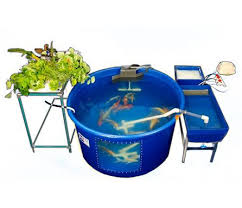 Aes Mini Fish Farm Instructional Video Fish Farming Aquaponics System Aquaponics