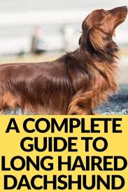 Marilyn Harrold (marilynharrold)