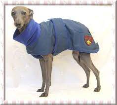 pin na doske for animals dogs and cats