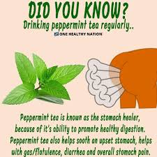 Onehealthynation On Instagram If You Are Looking To Maximize Your Health Check Ou Natural Health Supplements Promote Healthy Digestion Health Facts Fitness