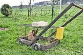 Copyright © 2012, 2001 by houghton mifflin harcourt publishing company. Spanish In The Grass Vocabat