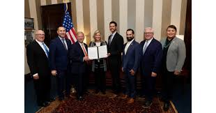 Image result for Disa eminii