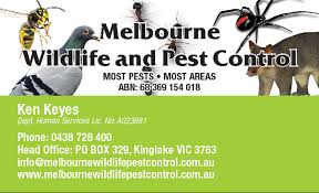 Contact us for bed bug pest control. Spiderman Se Eco Pest Management Home Facebook