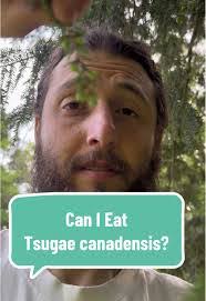 Tim Diggs's Instagram, Twitter & Facebook