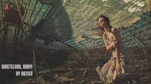 This song is one of hozier best works. Wasteland Baby Hozier Lyrics Youtube