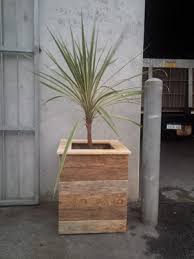 Set of 8 succulent/plant boxes! Single Planter Box Palletwest