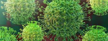 Each subgenomic mrna and the viral genomic rna. What Is Coronavirus Johns Hopkins Medicine