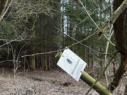 The teufelsmoor is a region of bog and moorland north of bremen, germany. Nsg Teufelsmoor Bei Horst In Rostock Deutschland Sygic Travel