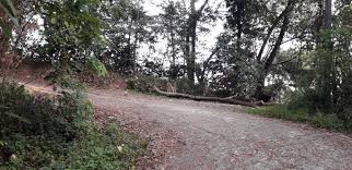 More images for latar belakang wangsa maju » Mohd Faiz Bin Abdul Manan Bukit Dinding Wangsa Maju