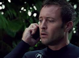 The Steve McGarrett Story