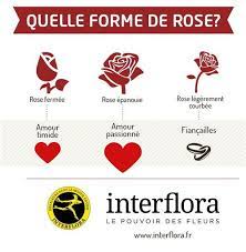 2) en fin de journe il lui reste 25 rose. La Forme De La Rose A T Elle Une Importance Le Pouvoir Des Fleurs