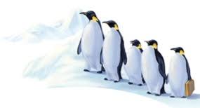 There were 260 penguins in the colony and one of them was fred. Leading Change Vigor Events