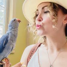 This stuff is awesome  https://aldentediva.com/2024/10/11/crockpot-white-chicken-chili/