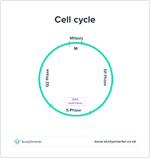 نتیجه جستجوی لغت [replication] در گوگل