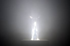 We Find Wildness Light Beams Wild