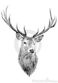 Black And White Deer Head Drawing Deer Head By Wolfgang Kraus Via Dreamstime Mit Bildern Hirsch Tattoo Hirschkopf Tattoo Elch Tattoo