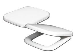 Betteset badewanne 170 x 80 cm edelweiss m. Wc Sitz Passend Fur Keramag Renova Nr 1 Plan Absenkautomatik
