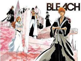 Pin On Bleach