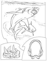This site offers lots of choices. 73 Shark Coloring Pages Ideas Shark Coloring Pages Coloring Pages Coloring Pictures