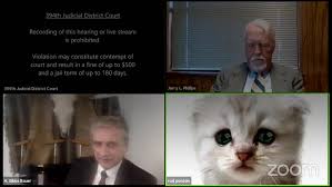 The court was discussing a civil forfeiture case when district attorney. I Am Not A Cat Hilarious Moment Texas Lawyer Appears With Cat Filter Before Judge On Zoom Evening Standard