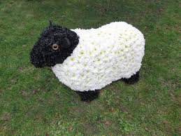 Login Or Sign Up Animal Flower Arrangements Creative Flowers Ideas Funeral Flowers