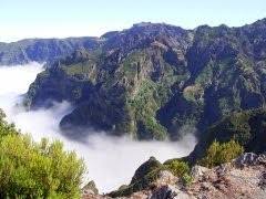 Die wunderschöne blumeninsel hat große chance, eure neue lieblingsinsel zu werden: Madeira Portugal De Urlaub Auf Der Insel Madeira