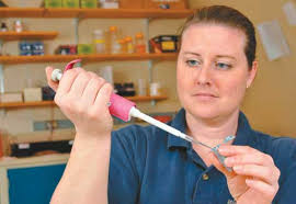 OU graduate works to restore homegrown W.Va. walleye