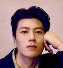 Hu Zheng Jun (胡正君)