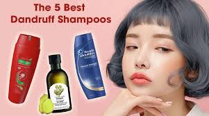 Tạm biệt tóc gàu sau vài lần gội với 5 loại dầu gội trị gàu cực tốt | Emmie  by HappySkin