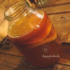 Simple Organic Kombucha Starter Kit Freeshipping Happy Kombucha