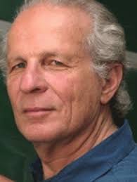 American Law in a Global Context: The Basics: Fletcher, George P.,  Sheppard, Steve: 9780195167238: Amazon.com: Books