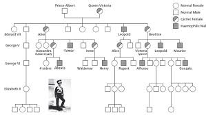 From the earliest times to the death of queen victoria. Textbook Of Hemophilia