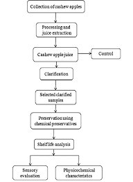 flowchart representing clarification and preservation of