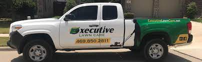 Review of gomow lawn care service. Lawn Care Frisco Tx Lawn Mowing Service Collin County North Dallas