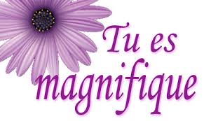 Résultat de recherche d'images pour "magnifique"